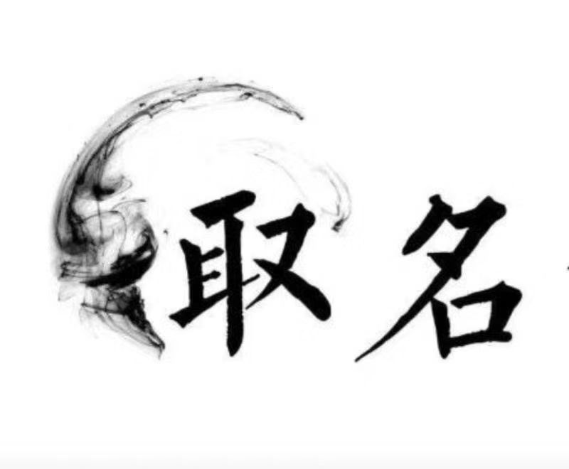  巨野宝宝取名 大师一对一人工起名
